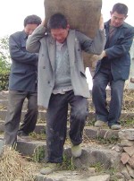 �������ͼ