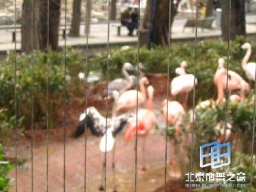 �������ͼ