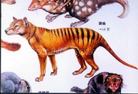 �������ͼ