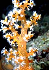 �������´������ͼ<br