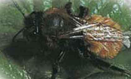 �������´������ͼƬ