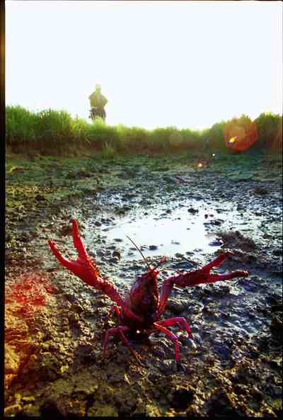 �������´������ͼƬ