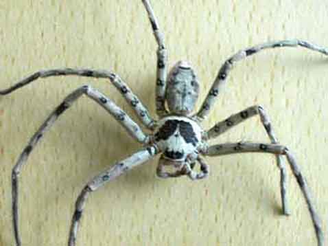 �������´������ͼƬ