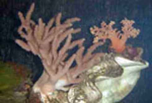 �������´������ͼƬ