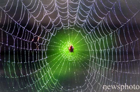 �������´������ͼƬ