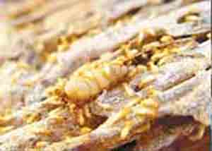 �������´������ͼƬ