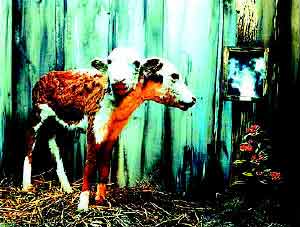 �������´������ͼƬ