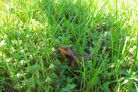 �������´������ͼƬ