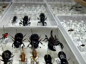 �������´������ͼƬ