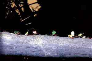 �������´������ͼƬ