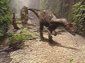 �������´������ͼƬ