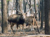 k10934-05.jpg (17041 �ֽ�)