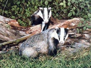 ���������*�������˾�̾���Ǽ���(ͼ)