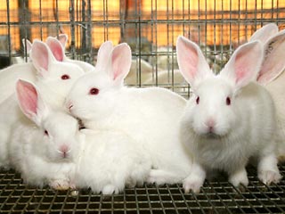 �Ƽ�ʱ��_���������*���� ���˾�̾���Ǽ���(ͼ)