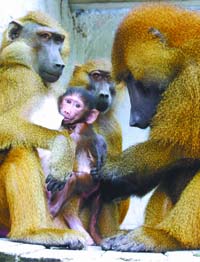 �����潻�����ֹ�����������Ҳ�ؾ��÷���(ͼ)