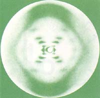 DNA��X��������Ƭ