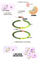 ���򹤳̵Ĺ�������ʾ��ͼ