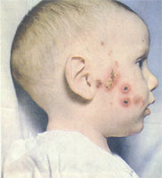 �����������ĵ���ŧ��