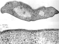 ���ξ��ĵ羵��Ƭ