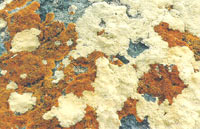 ��״����