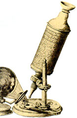 ���Ļ������Ƶ���΢��