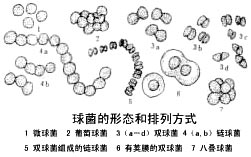 �����̬�����з�ʽ