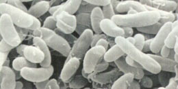 �컡������̬