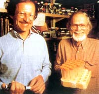 ��Ľ˹���󣩡���������ʵ������