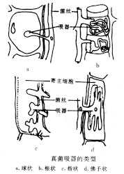 ù������������