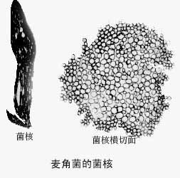 ��Ǿ��ľ���