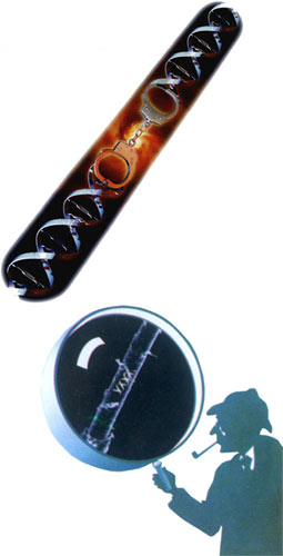 �ִ�����̽�ǽ�ʹ�ø���Ħ˹�޷�����ĸ߼����ֶΣ���DNA�������������ư�����