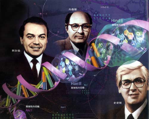 W����������H��O��ʷ��˹��D����ɭ˹������������ø