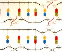 DNA����ø���Խ��ϳɼ��ε�DNA���޸�