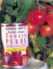 ת������������ͷ