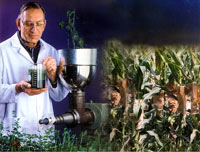 �������ܵ��Ļ���