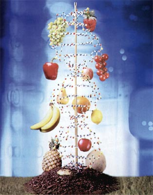 ת����ʳƷʹ���ǵĲ������ḻ�ˣ���Ҳʹ���Ƕ��˼��ֵ��ǡ�