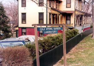 λ������ŦԼ��������Ȫ�ۣ��������������Ŵ�ѧ����������ѧ�о�������ѧ���������ġ�