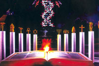 ��������һ����DNA����д�ɵ����飬ÿһҳ�϶�������ȥ��д��A��T��C��G