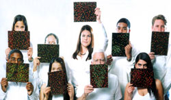 ����оƬ������֯����ʱ�����γɵ�ͼ�ס���Щͼ������ʾ���ĸ��������ܻ����ҽ������ÿ�����߲�ͬ�Ķ�����Ҫ��ȡ��ͬ�����ƴ�ʩ��