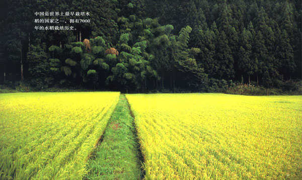 �й�����������������ˮ���Ĺ���֮һ��ӵ��7000���ˮ��������ʷ��