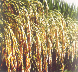 �й������ġ���������˶�����ĵ�����ͬ�ٲ�һ��