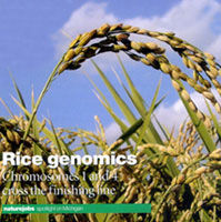 Ӣ����Nature����־2002���11�ڷ����ϵ�ˮ��