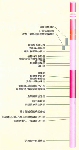 22��Ⱦɫ�������Ŵ����йصĻ���