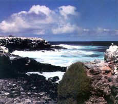 ���������������Ķ�̫ƽ�������˹Ⱥ��������������������Դ�����γɽ���������������