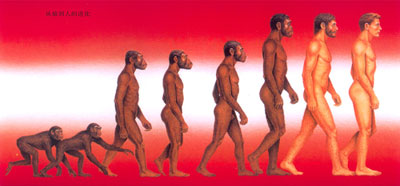 ��Գ���˵Ľ���