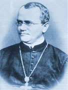 �µ�������ѧ���ϵ¶�