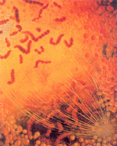 ϸ������ǰ��ʼ�䶯��Ⱦɫ��