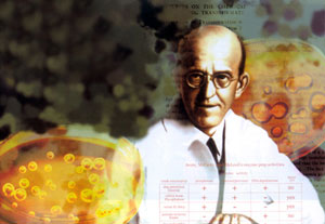 ����ϸ��ѧ�Ұ�����