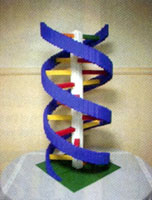 ��ɭ������˳ɹ�����Ҫԭ��֮һ������ѡ������ȷ���о�;�������������ڶ�ͯ���ľ�ķ�������DNA�ṹ��ģ��