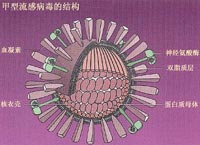 �������в����ṹʾ��ͼ